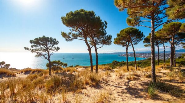 Découvrez les trésors cachés du camping les galets à argelès-sur-mer
