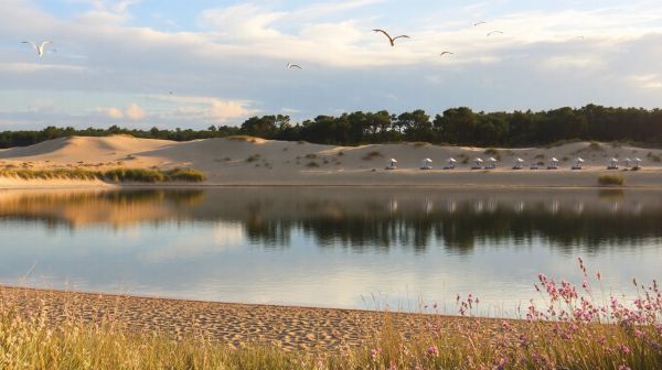 Découvrez les trésors cachés du camping les galets à argelès-sur-mer